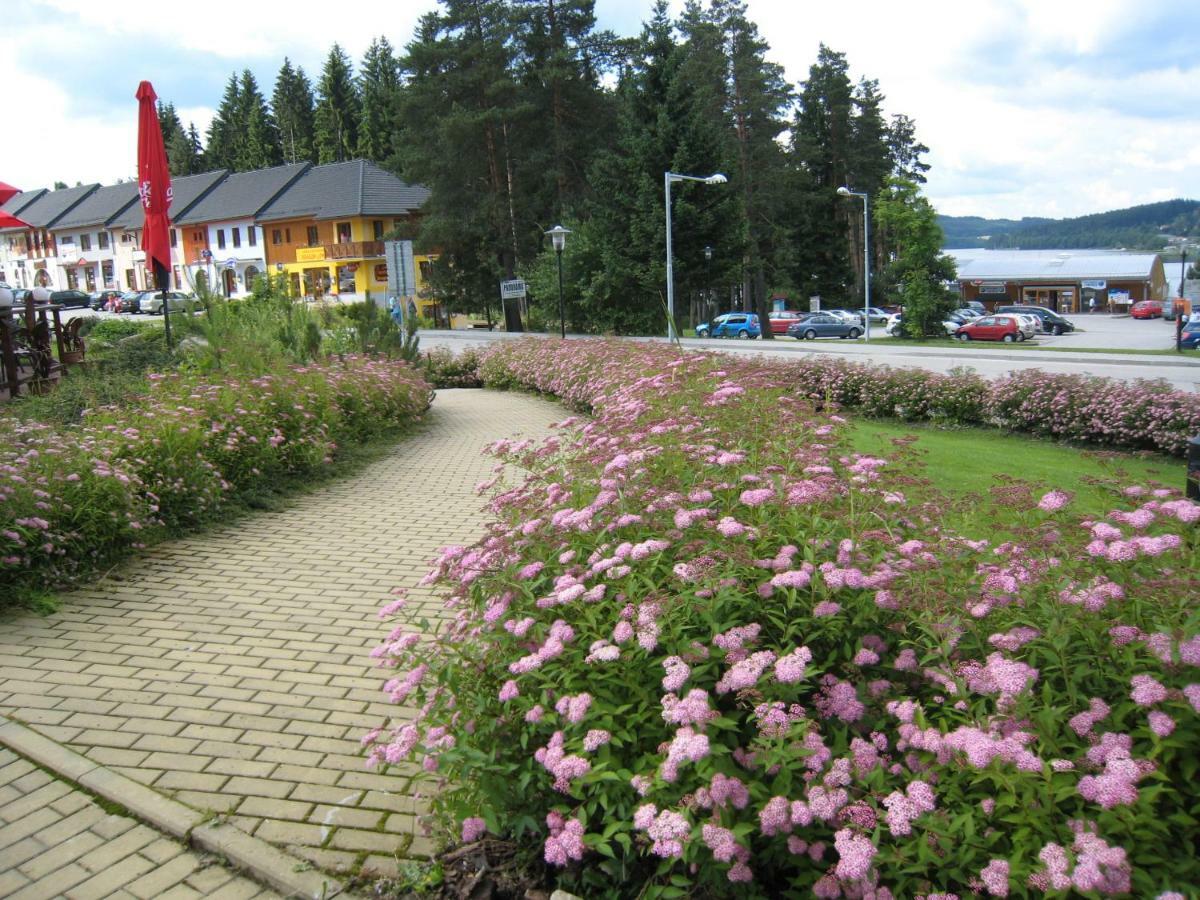 Apartmán Riviera Appartamento Lipno nad Vltavou Esterno foto