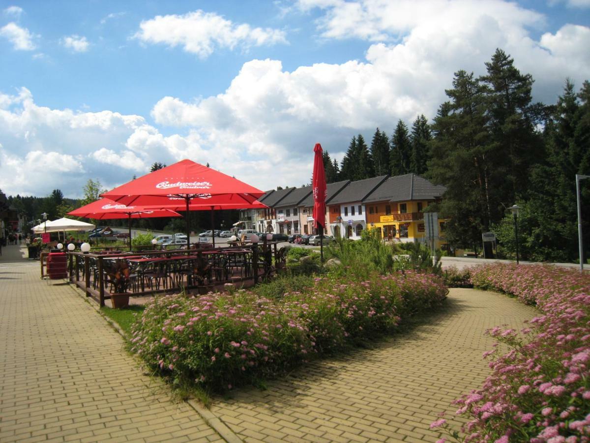 Apartmán Riviera Appartamento Lipno nad Vltavou Esterno foto